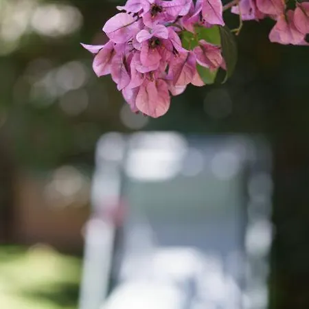 La Maison Du Soleil A 2 Pas De La Willa Canet-en-Roussillon