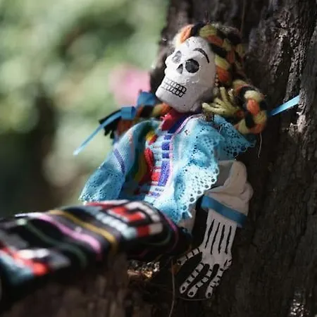 Villa La Maison Du Soleil A 2 Pas De La *