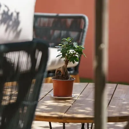 La Maison Du Soleil A 2 Pas De La Villa