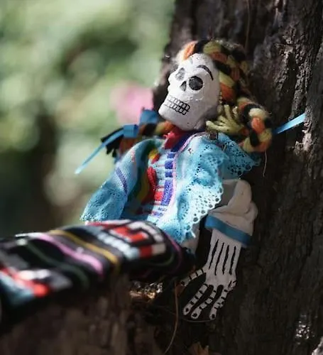 Villa La Maison Du Soleil A 2 Pas De La *