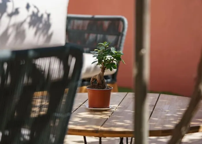 La Maison Du Soleil A 2 Pas De La Villa