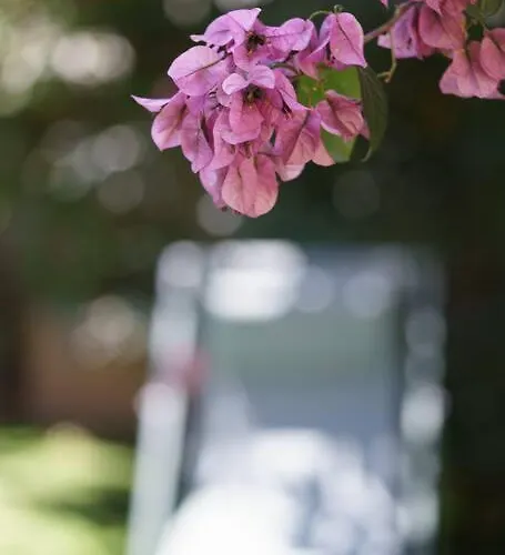 La Maison Du Soleil A 2 Pas De La Villa Canet-en-Roussillon